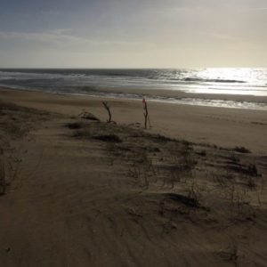 ocean, ana deman, plage, nature